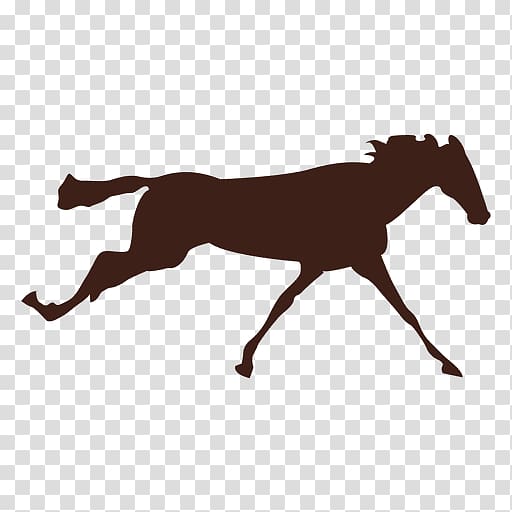 Horse Stallion Colt Gallop Pony, sequence transparent background PNG clipart