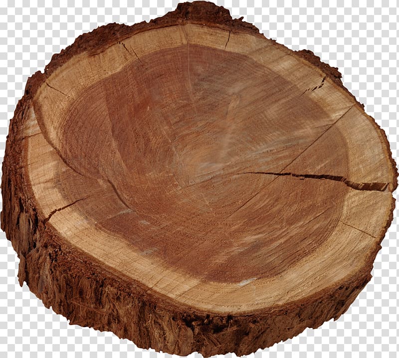 Wood Tree Procurement Forest management Contract, stump transparent background PNG clipart