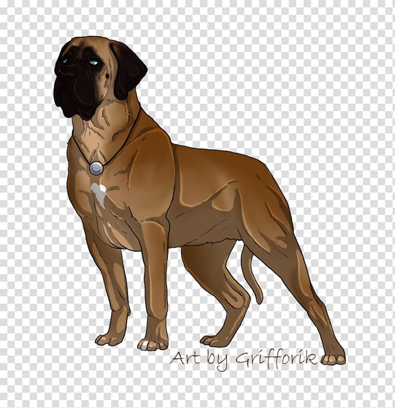 Bullmastiff Ancient dog breeds Boerboel Tosa, Bullmastiff transparent background PNG clipart