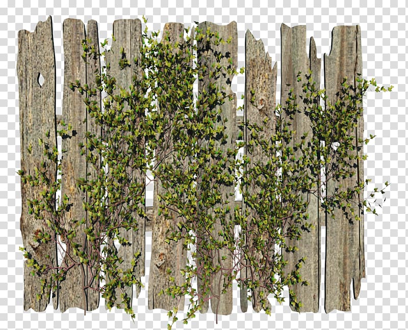Fence Garden , ivy transparent background PNG clipart
