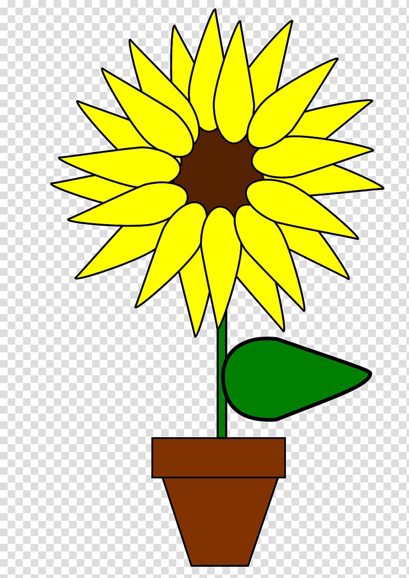 Common sunflower , Open.org transparent background PNG clipart