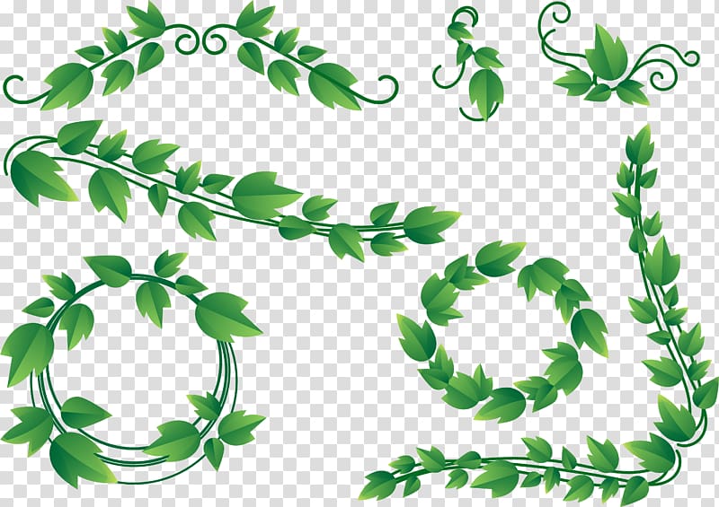 Vine Ivy , leaf frame transparent background PNG clipart