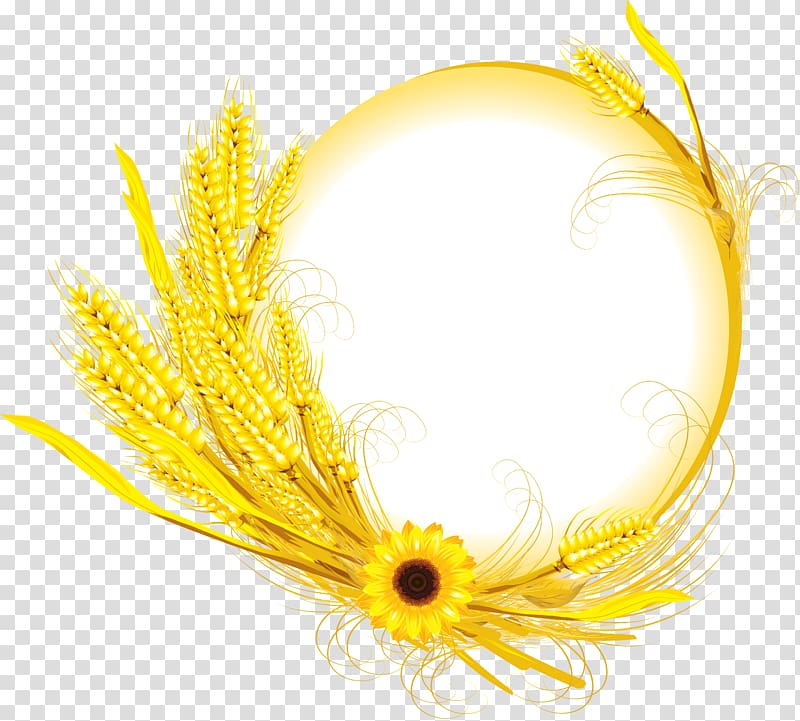Common sunflower Wheat , sunflower oil transparent background PNG clipart