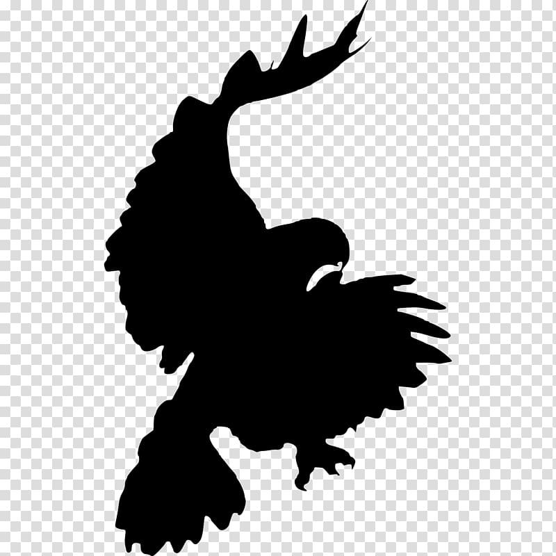 Bird Red-tailed hawk , raven transparent background PNG clipart