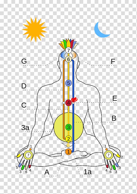 Chakra Muladhara Subtle body Energy Kundalini, chakra transparent background PNG clipart