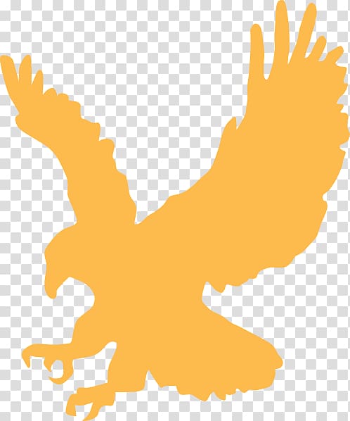 Eagle , Cartoon Eagle transparent background PNG clipart