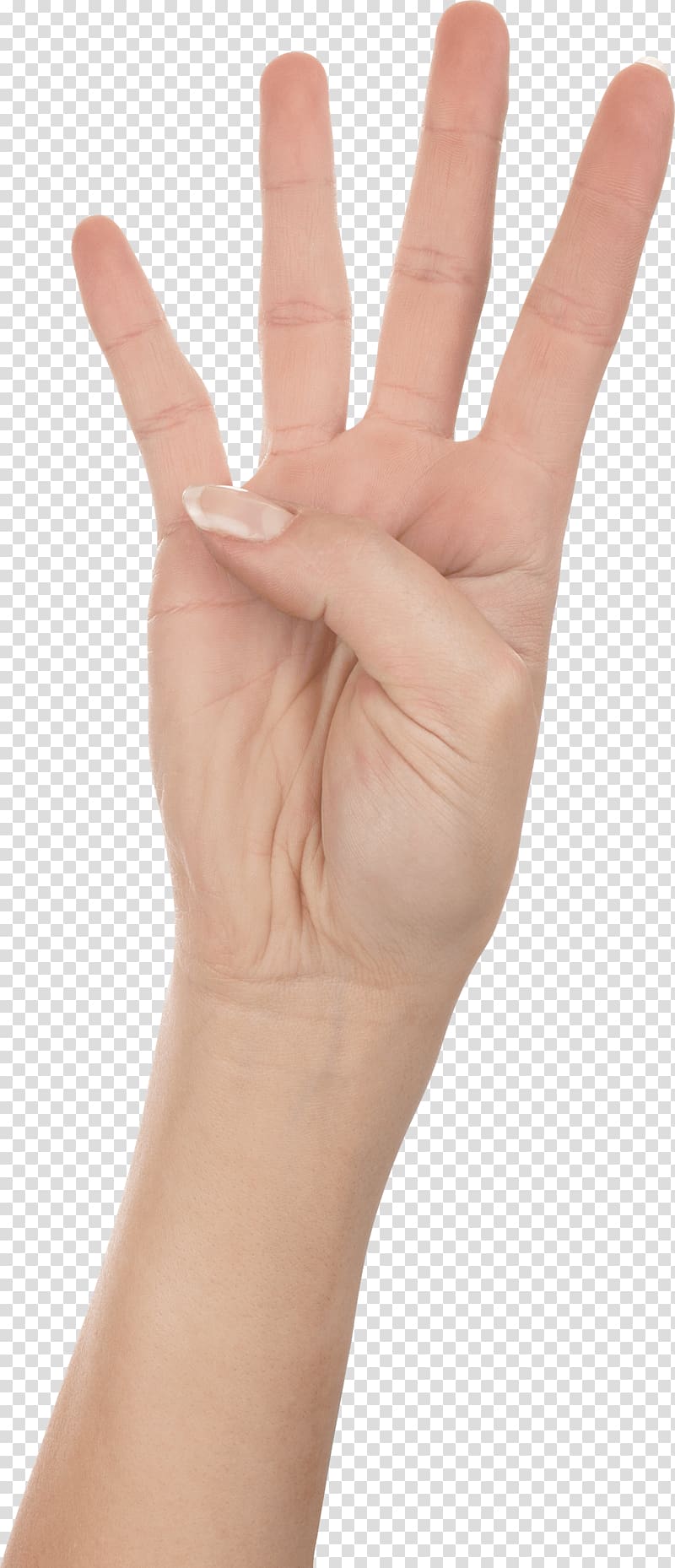Finger Hand Upper limb, Four Fingers transparent background PNG clipart