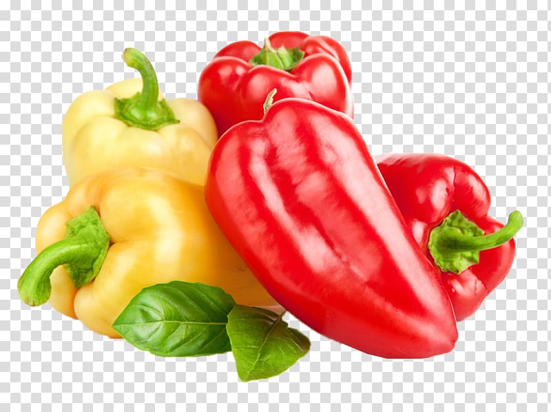 Bell pepper Vegetable Cultivar Black pepper Sweetness, Pepper transparent background PNG clipart
