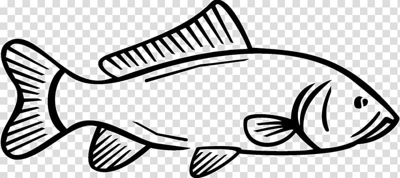 Carp Drawing Sticker Logo , fish transparent background PNG clipart