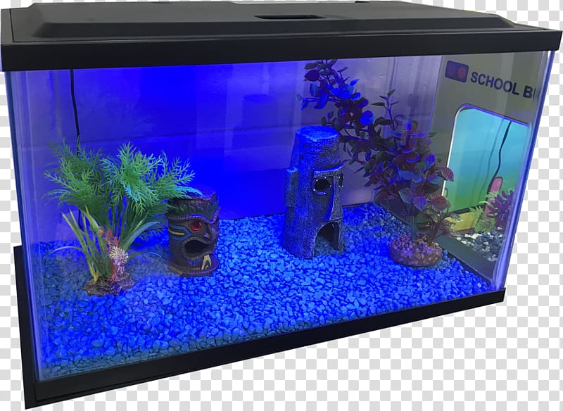 Aquarium lighting Aquariums Gallon Electric blue, fish tank transparent background PNG clipart