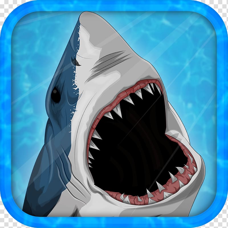 Tiger shark Requiem sharks Jaw, shark transparent background PNG clipart