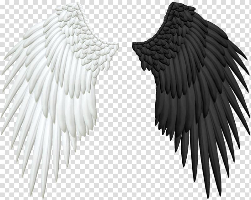 black and white wings , Computer Icons , angel wings transparent background PNG clipart