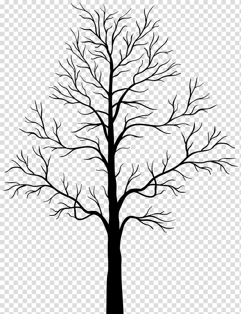 Tree Silhouette , Dead Tree Silhouette transparent background PNG clipart