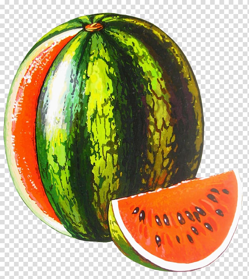 Letter Alphabet Word El, watermelon transparent background PNG clipart