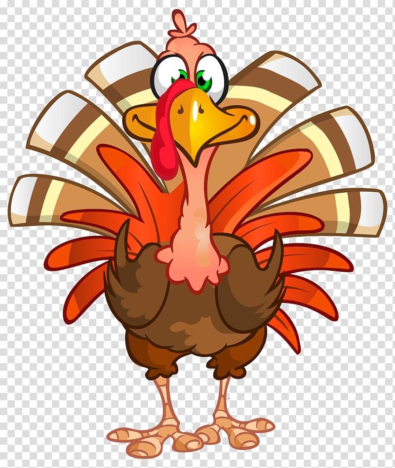turkey illustration, Turkey Thanksgiving dinner , Thanksgiving Turkey transparent background PNG clipart