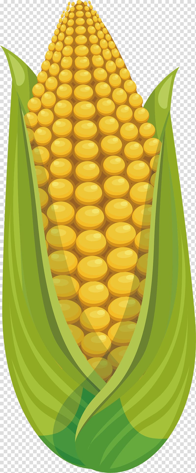 Corn on the cob Maize Fruit Sweet corn, Plump corn transparent background PNG clipart