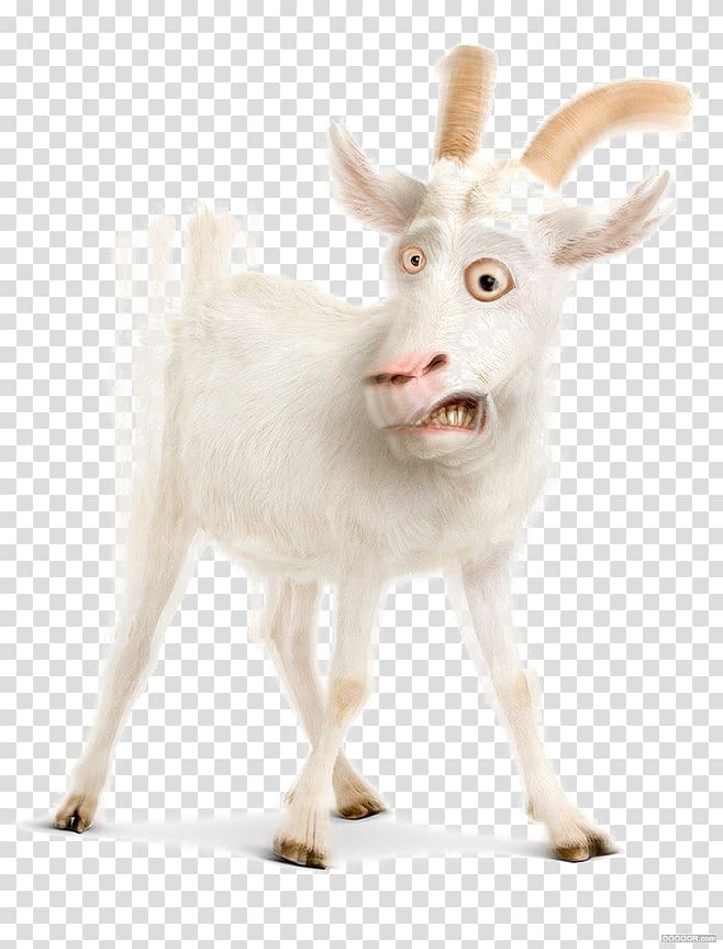 white goat illustration, Graphic design, sheep transparent background PNG clipart