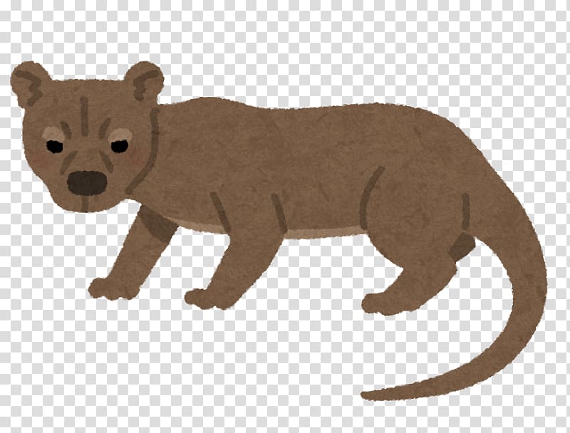 Bear いらすとや Fossa Animal, bear transparent background PNG clipart