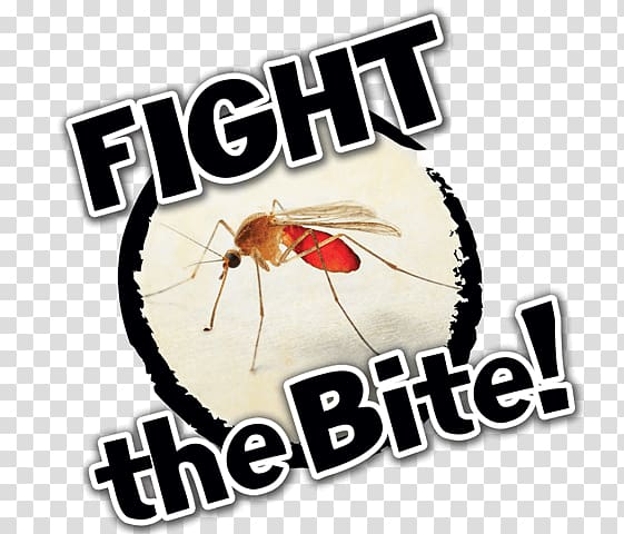 Animal bite Mosquito Insect bites and stings control West Nile fever, Mosquito Bite transparent background PNG clipart