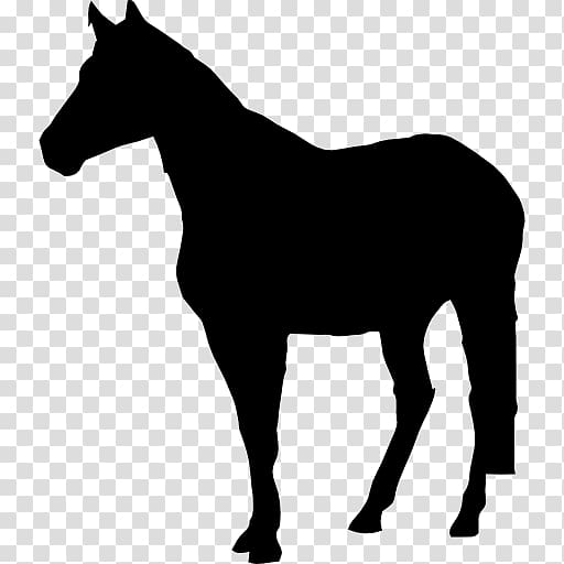 Standing Horse Drawing , horse transparent background PNG clipart