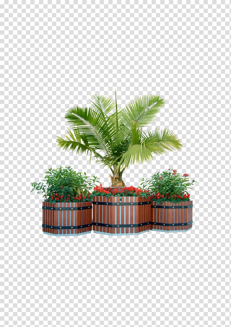 green leafed plants, Plant Tree Window box Shrub, Potted trees Trees transparent background PNG clipart