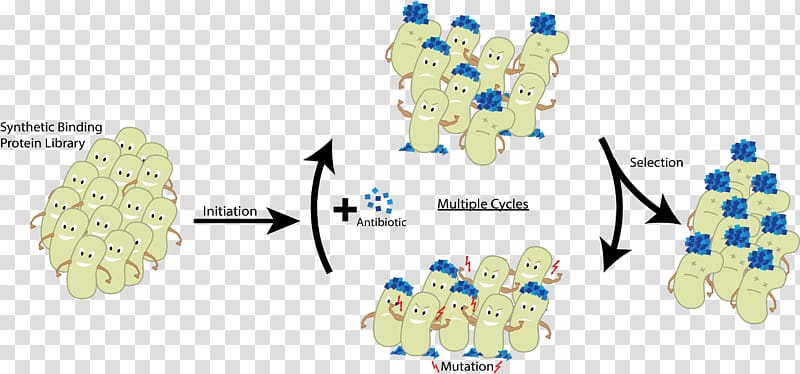 CeBiTec Protein International Genetically Engineered Machine Directed evolution Mutagenesis, spherical cartoon germs transparent background PNG clipart