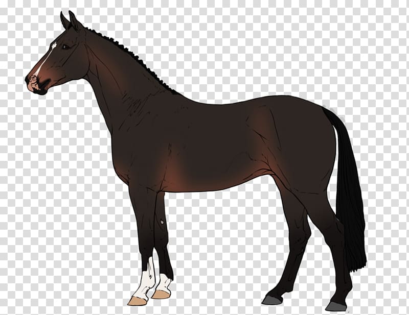 Equestrian Mustang Stallion Warmblood Akhal-Teke, mustang transparent background PNG clipart