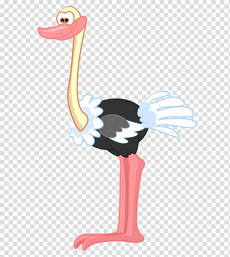 Common ostrich Drawing Bird Illustration, cartoon ostrich transparent background PNG clipart