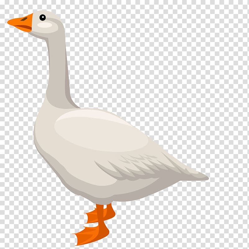 Duck Domestic goose Cygnini, white big white duck transparent background PNG clipart