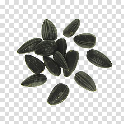Sunflower seeds transparent background PNG clipart