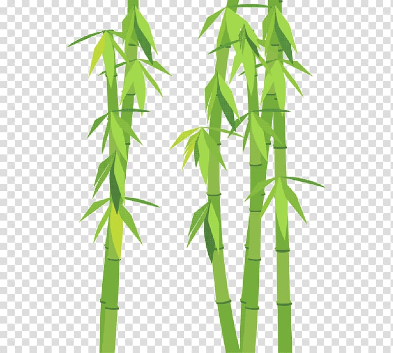 Bamboe Leaf Plant stem Bambusa vulgaris Rhapis excelsa, bamboo transparent background PNG clipart