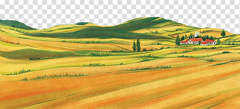 red house surrounded with green grass illustration, The Wheat Field Rural area, Wheat field transparent background PNG clipart