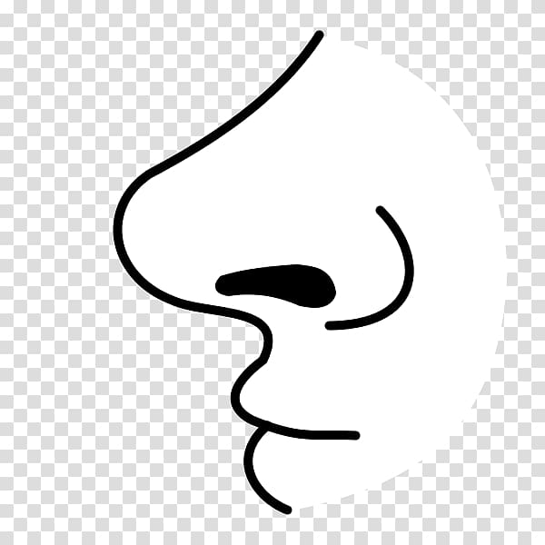 Nose Drawing Olfaction , nose transparent background PNG clipart