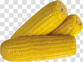 Corn transparent background PNG clipart