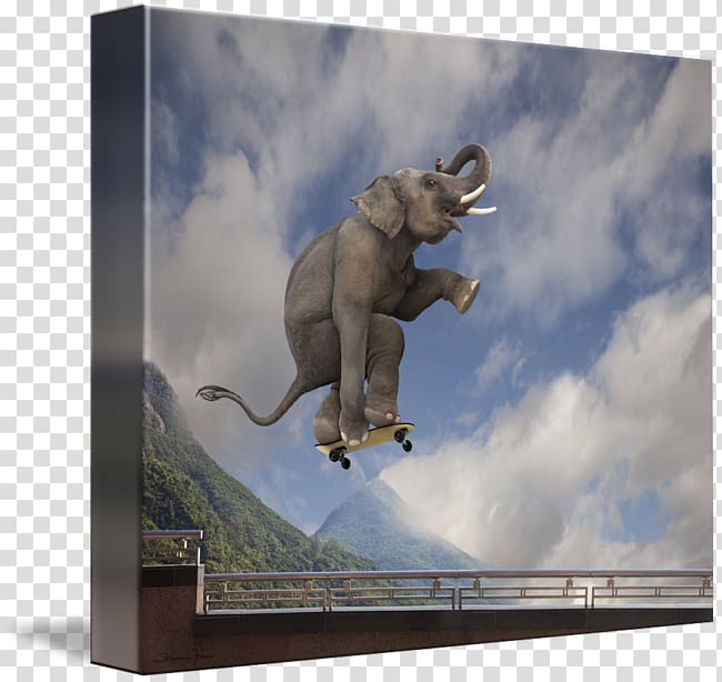 Asian elephant Canvas Gallery wrap Art, Asian Elephant transparent background PNG clipart