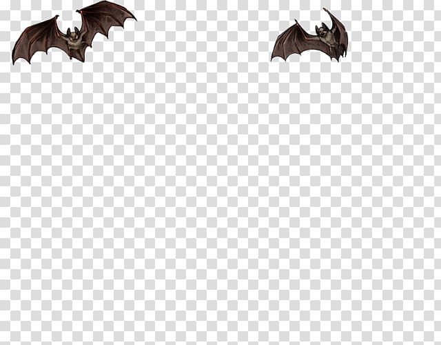 Eagle Beak BAT-M Wildlife, Lion Hunting transparent background PNG clipart