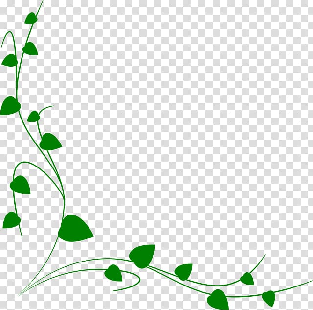 graphics Drawing Vine, black and white leaf border transparent background PNG clipart