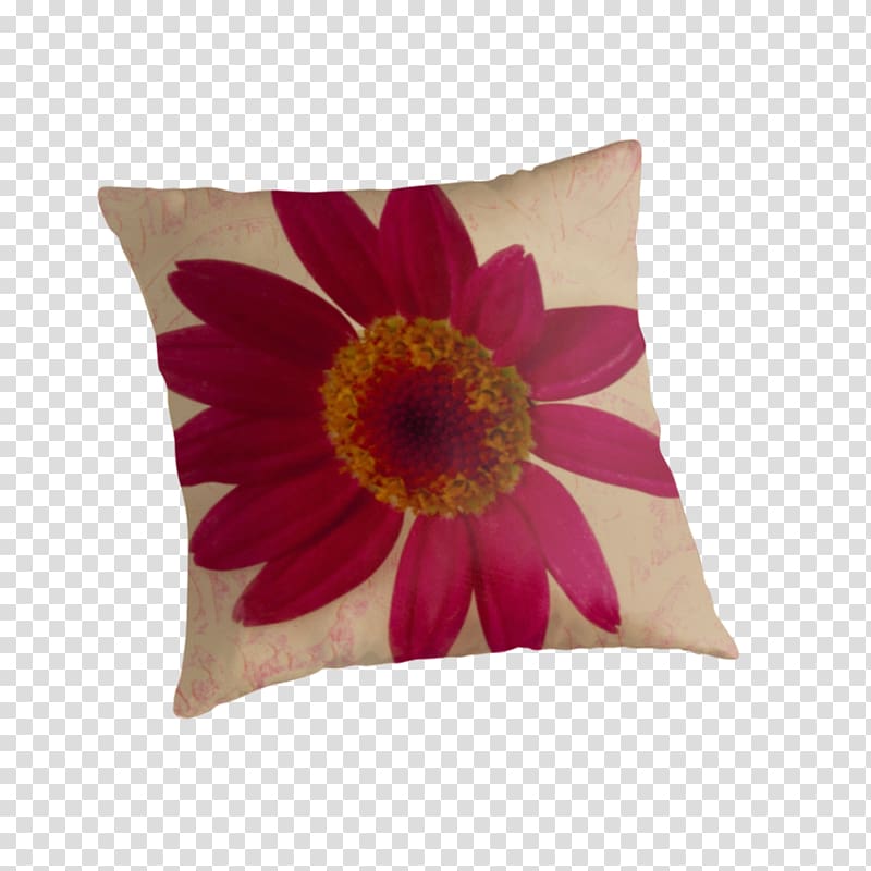 Throw Pillows Cushion Magenta Transvaal daisy, pillow transparent background PNG clipart