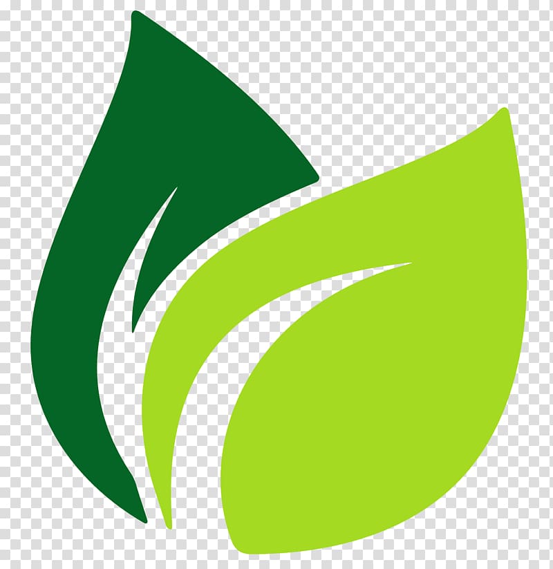green leaf illustration, Leaf Logo, banana leaves transparent background PNG clipart