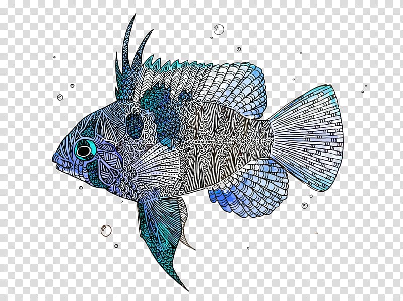 Fish, fishes transparent background PNG clipart