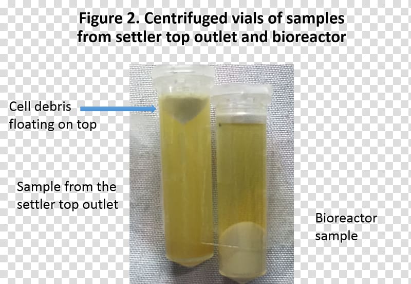 Pichia pastoris Centrifugation Cell Milk Bioreactor, milk transparent background PNG clipart