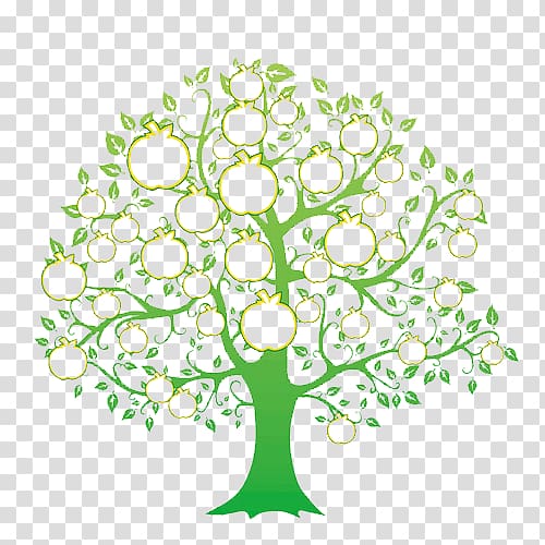green tree of life transparent background PNG clipart