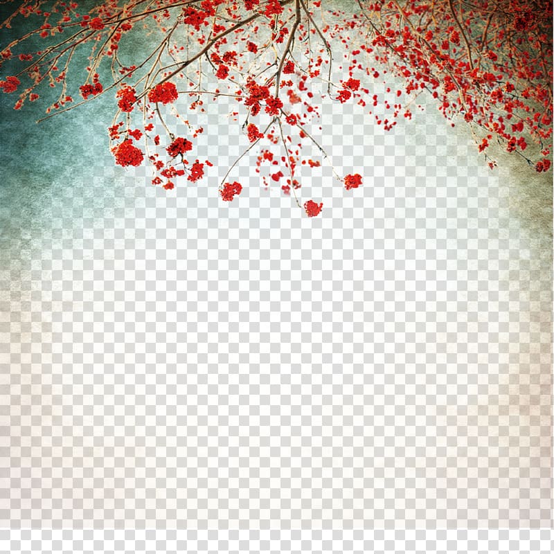 red flowering tree , Love of God Love of God Prayer Happiness, Red plum transparent background PNG clipart