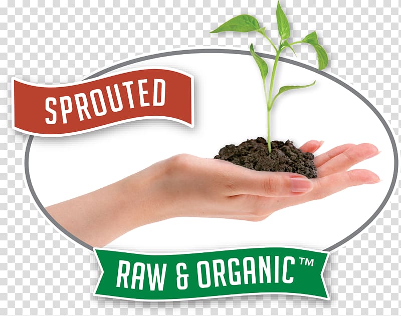 Organic food Raw foodism Superfood Hemp, butter transparent background PNG clipart