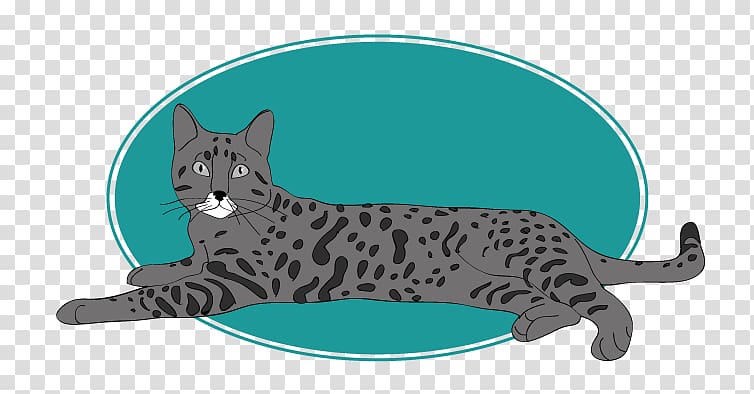 Whiskers Big cat Tail Wildlife, California Spangled transparent background PNG clipart