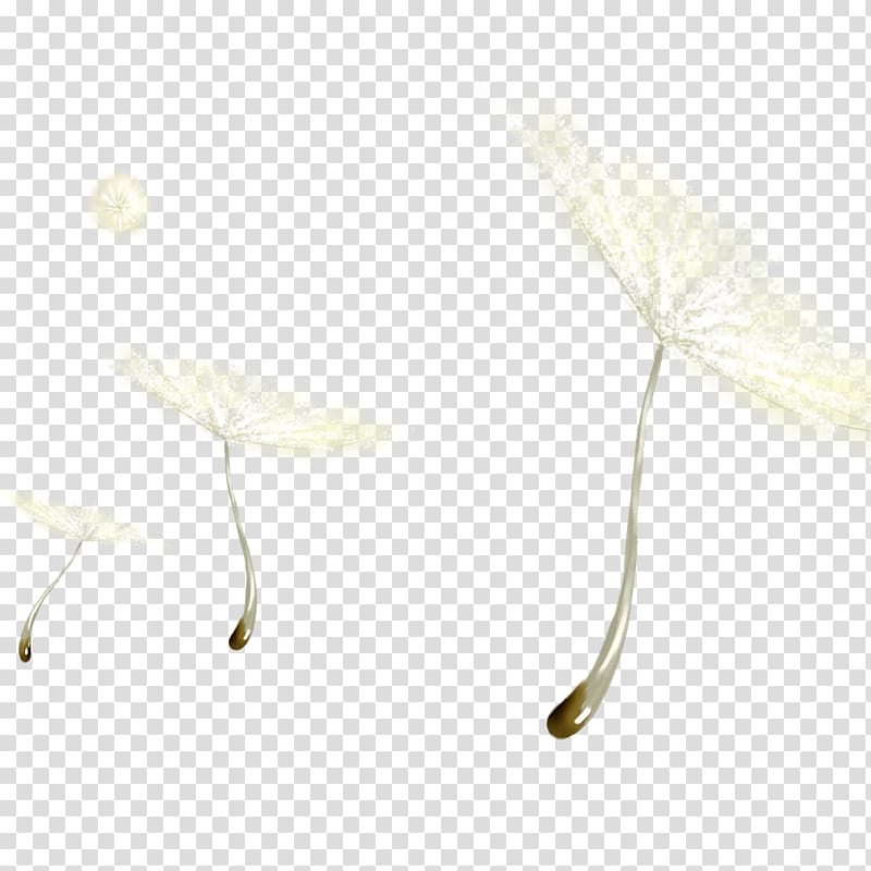 Black and white Dandelion, White dandelion transparent background PNG clipart