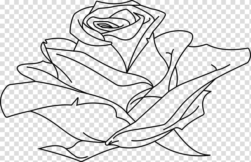Line art Drawing , rose outline transparent background PNG clipart