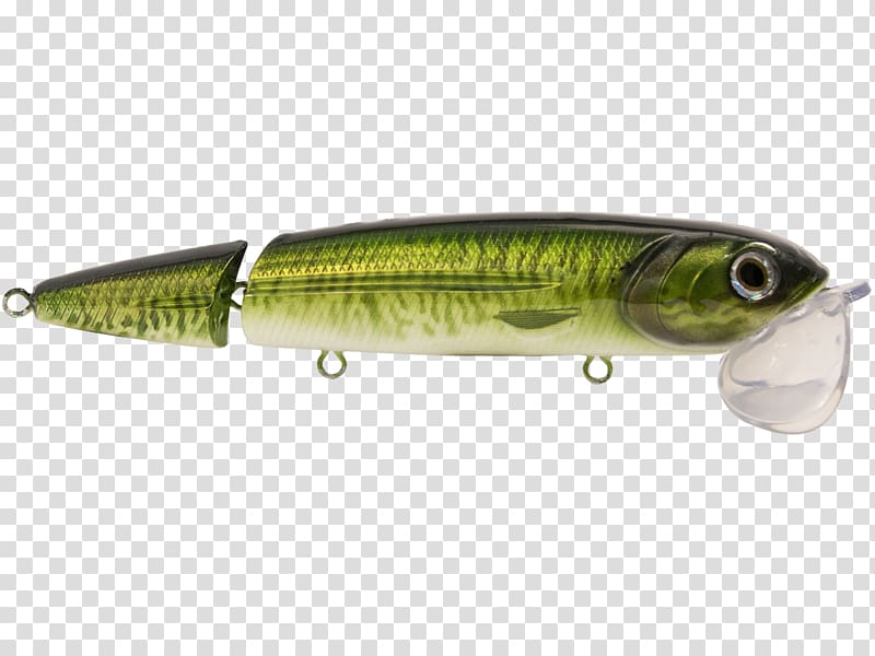 Sardine Northern pike Spoon lure Oily fish Perch, Hook Ups transparent background PNG clipart
