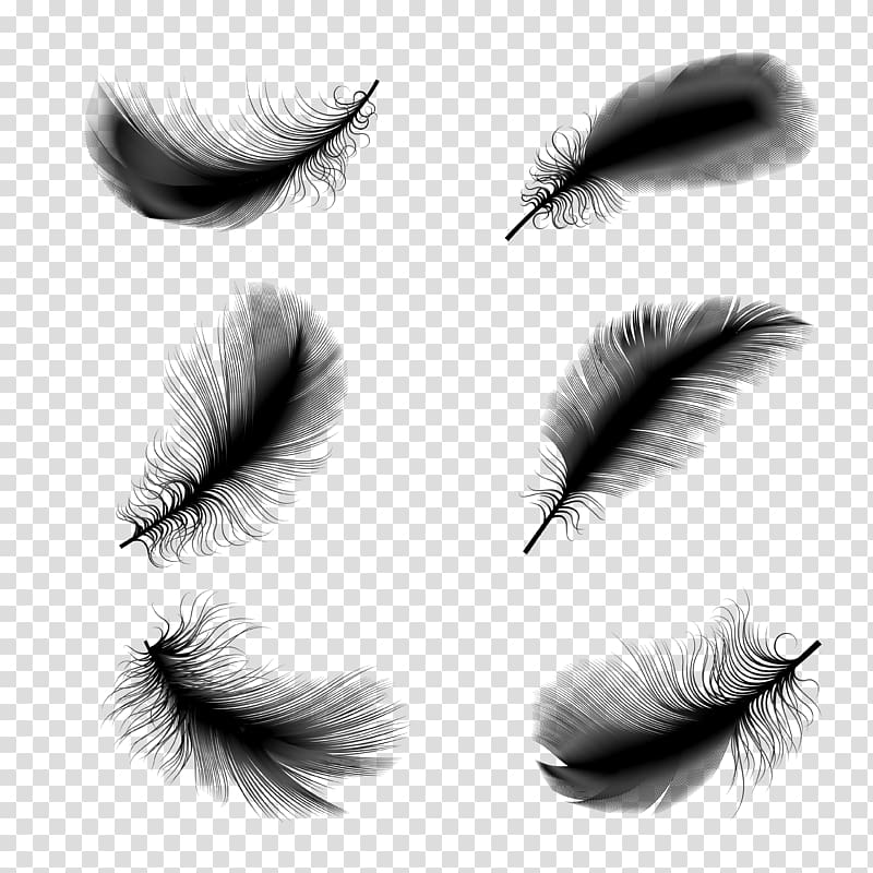 six gray feathers art illustration, Bird Feather Euclidean Illustration, feather transparent background PNG clipart