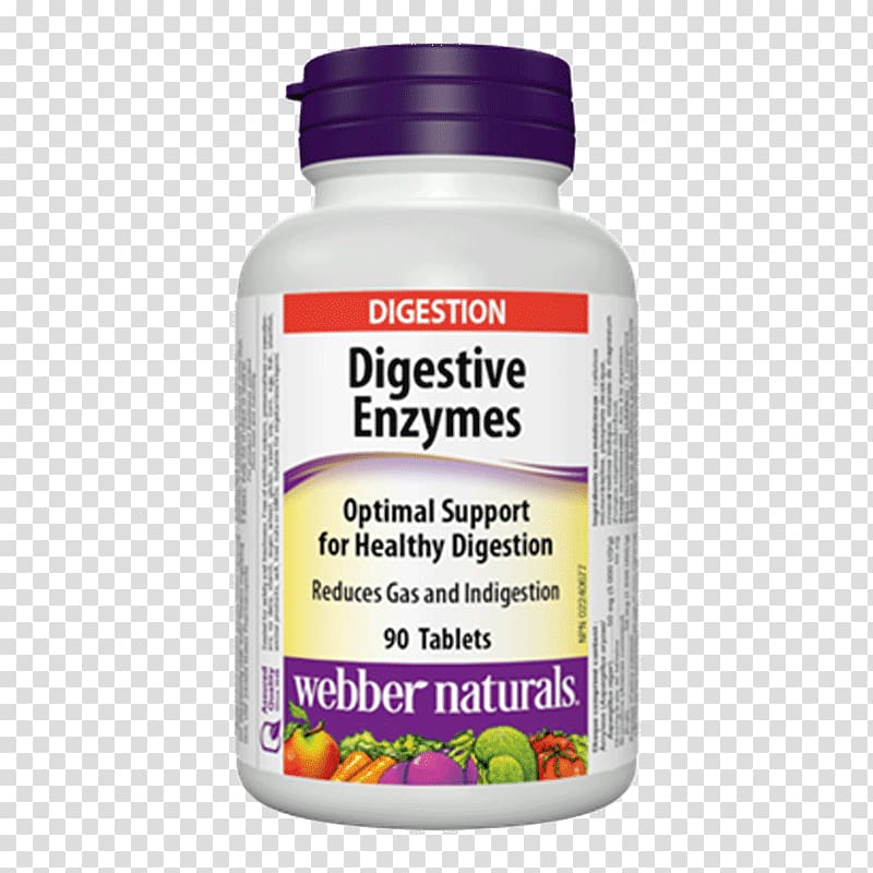 Dietary supplement Digestive enzyme Digestion Food, Digestive Enzyme transparent background PNG clipart